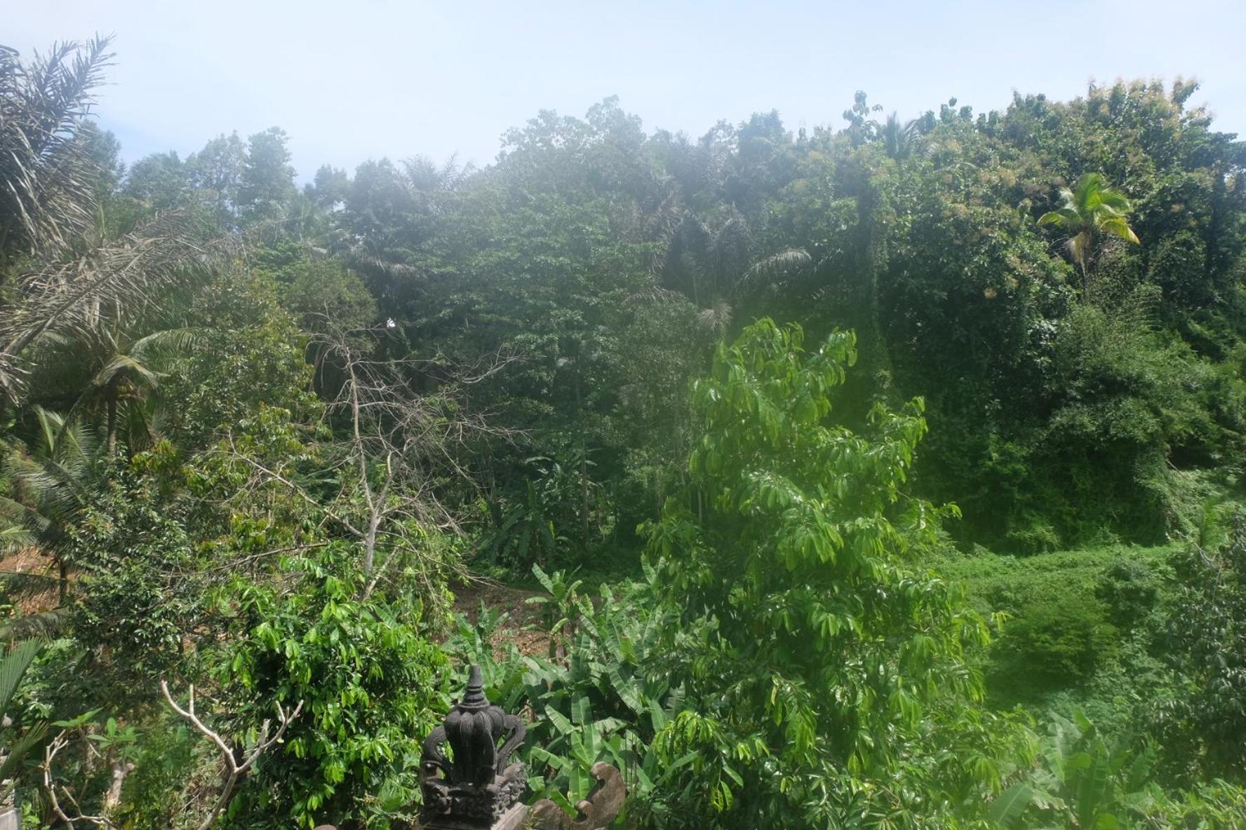 הוילה טגלאלאנג Gunung Kawi House מראה חיצוני תמונה